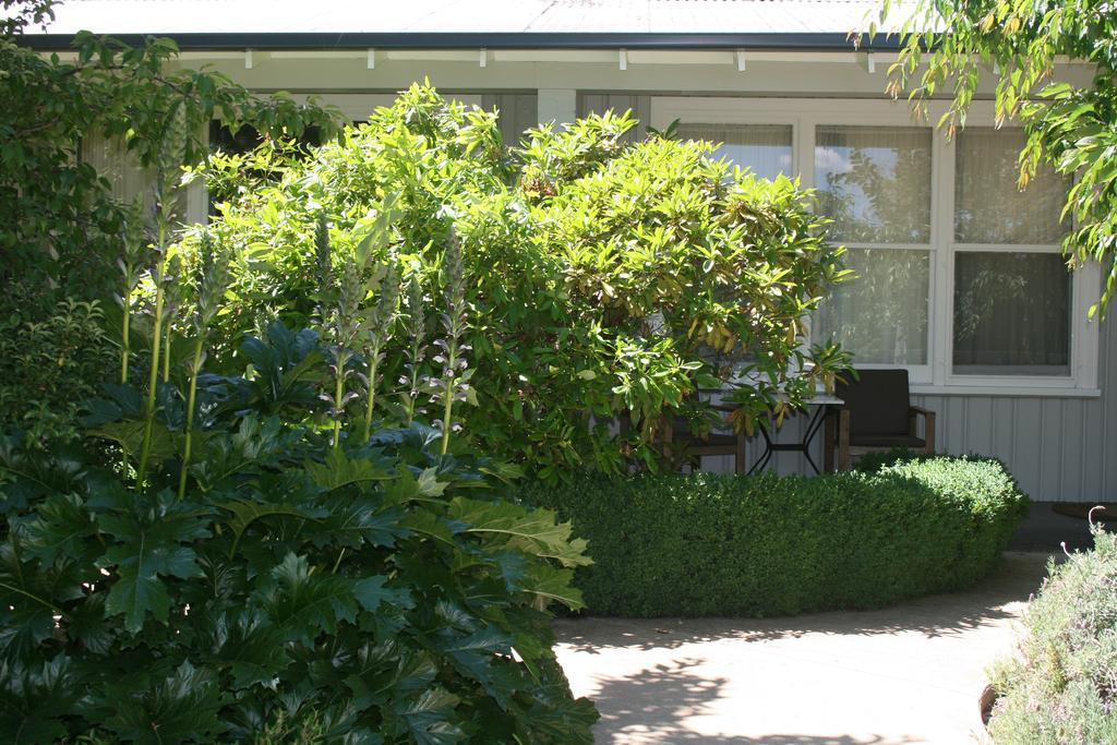 Elm Lodge ไบรท์ ภายนอก รูปภาพ