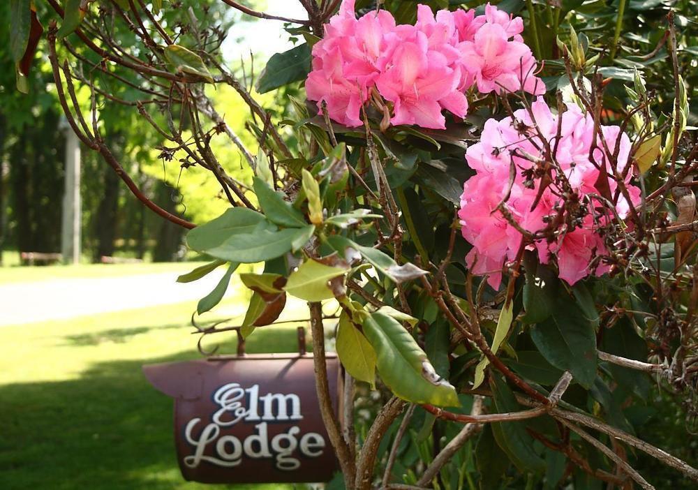Elm Lodge ไบรท์ ภายนอก รูปภาพ